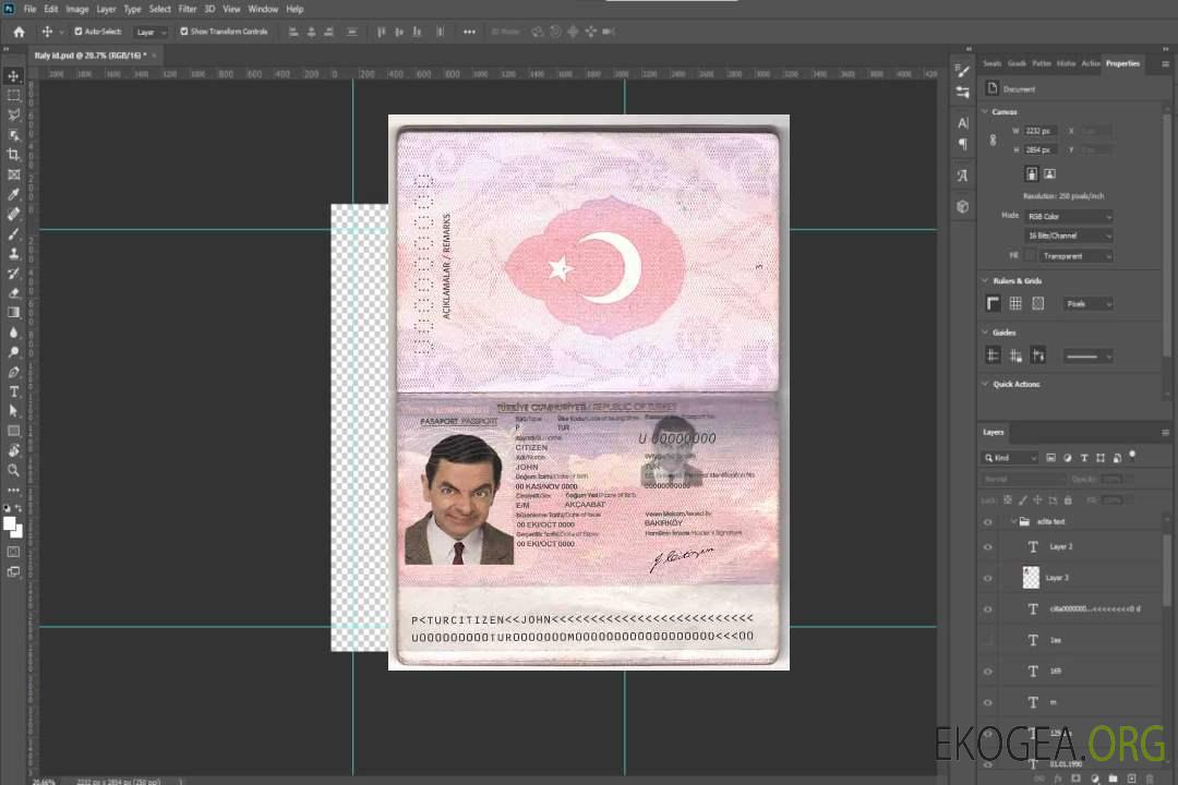 Modèle de passeport turc au format PSD, entièrement modifiable (2010-2018) template